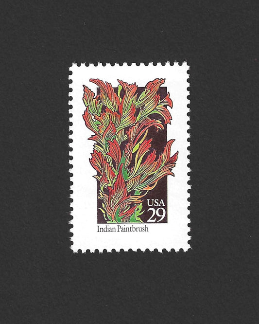 5 Wildflower Indian Paintbrush Unused Vintage USPS Postage Stamps. Face Value 29 cents each.